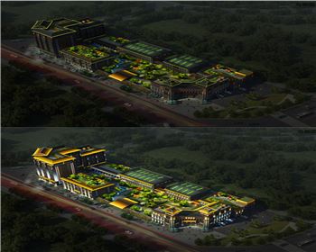 內蒙古景觀燈涇陽項目